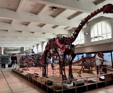 Museum Bernardino Rivadavia of Natural Science
