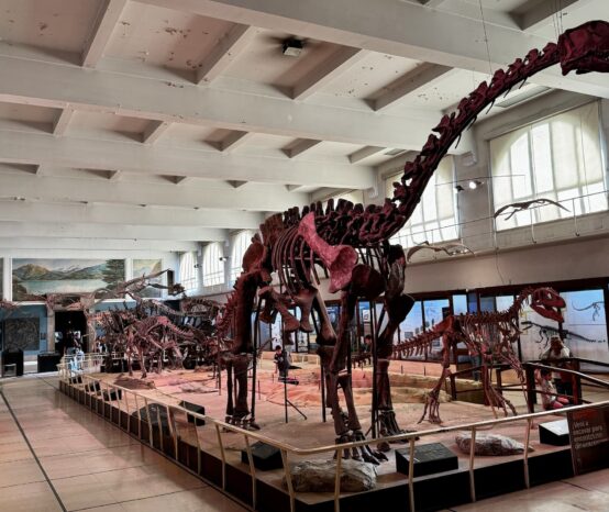 Bernardino Rivadavia Natural Science Museum: Buenos Aires’ Most Overlooked Museum
