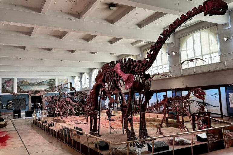 Museum Bernardino Rivadavia of Natural Science