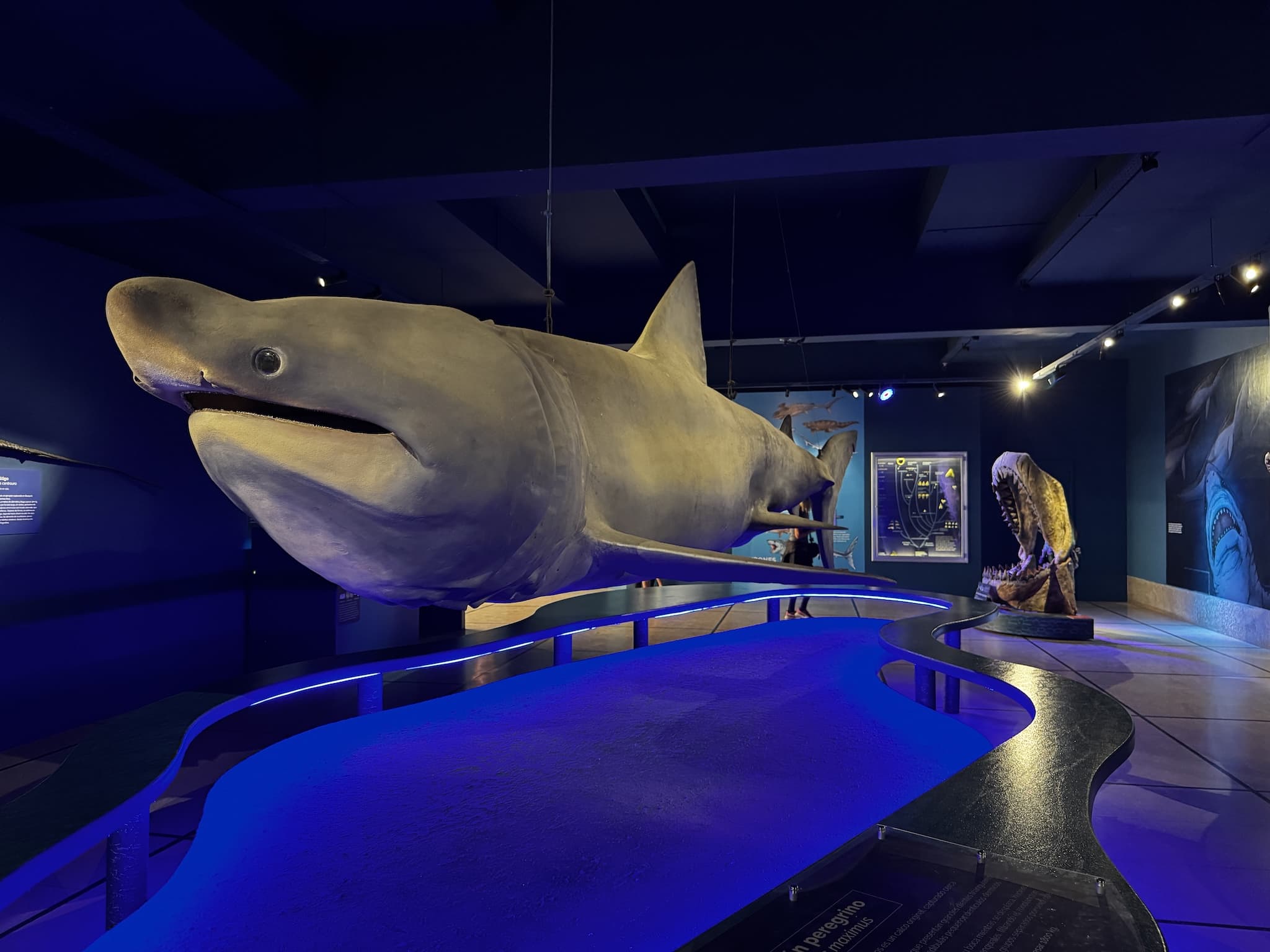 Bernardino Rivadavia Museum Buenos Aires Maritiem