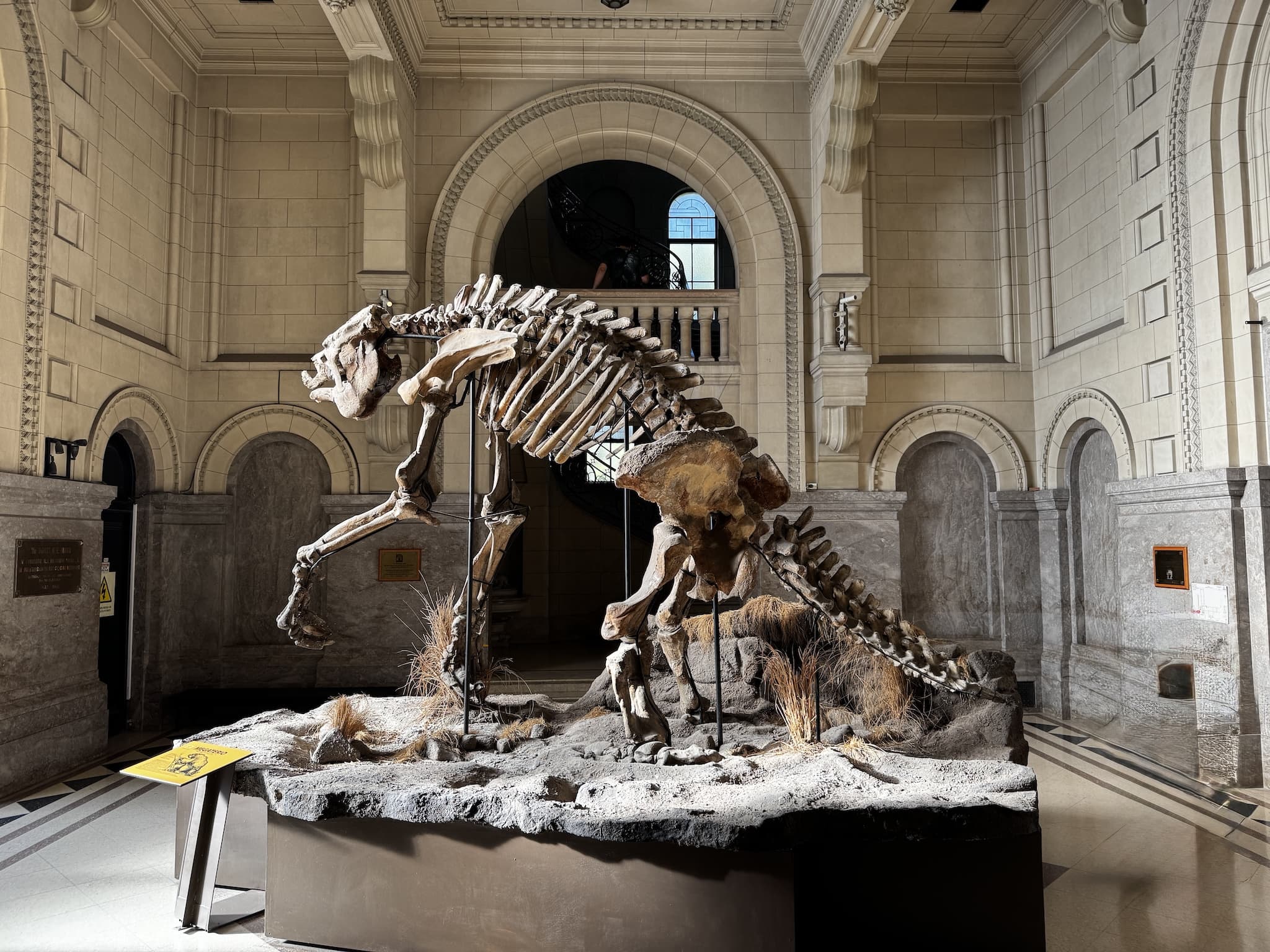 dinosaur museum Buenos Aires Natural Science